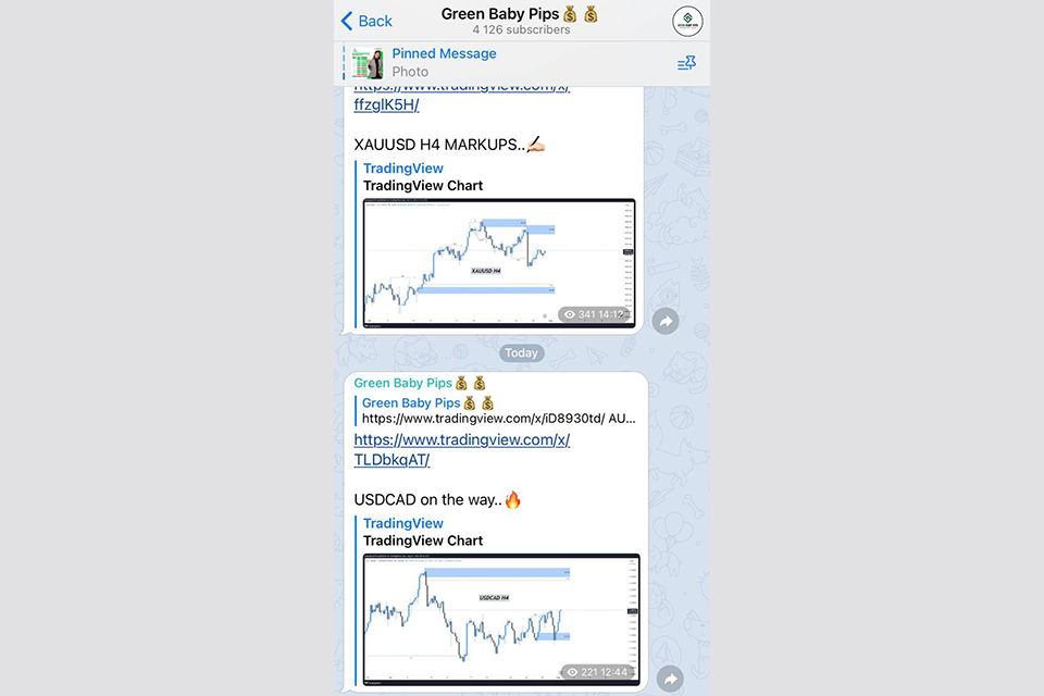 Best Forex Telegram Channels