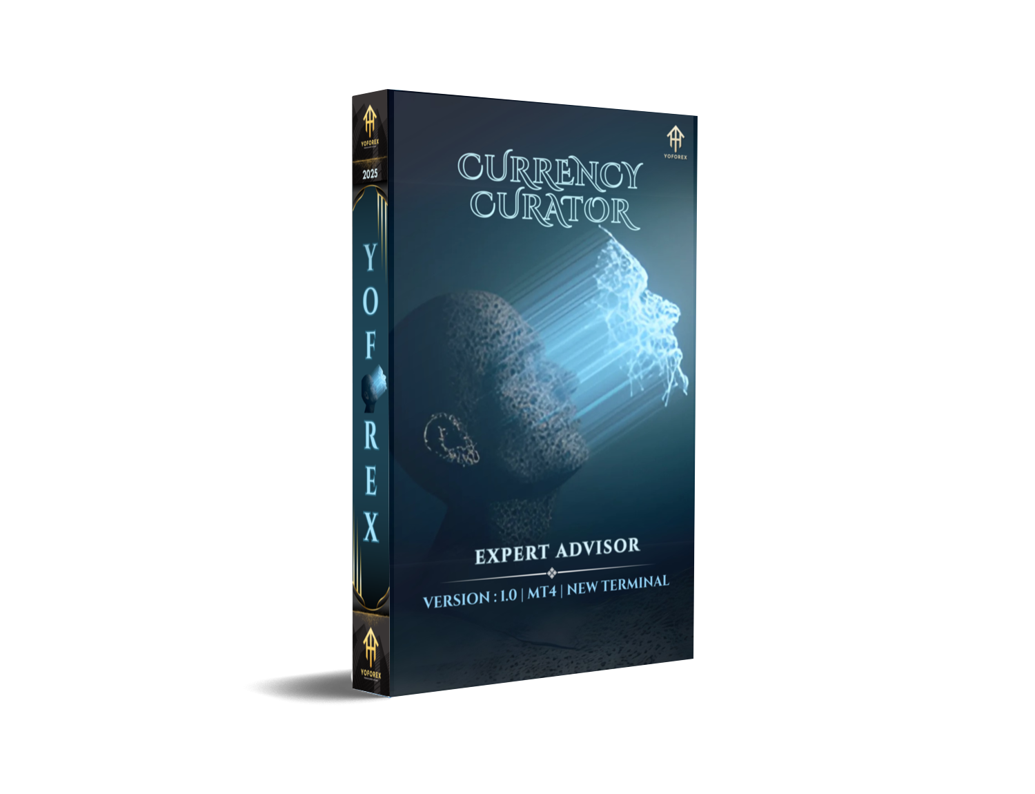 Currency Curator EA V1.0