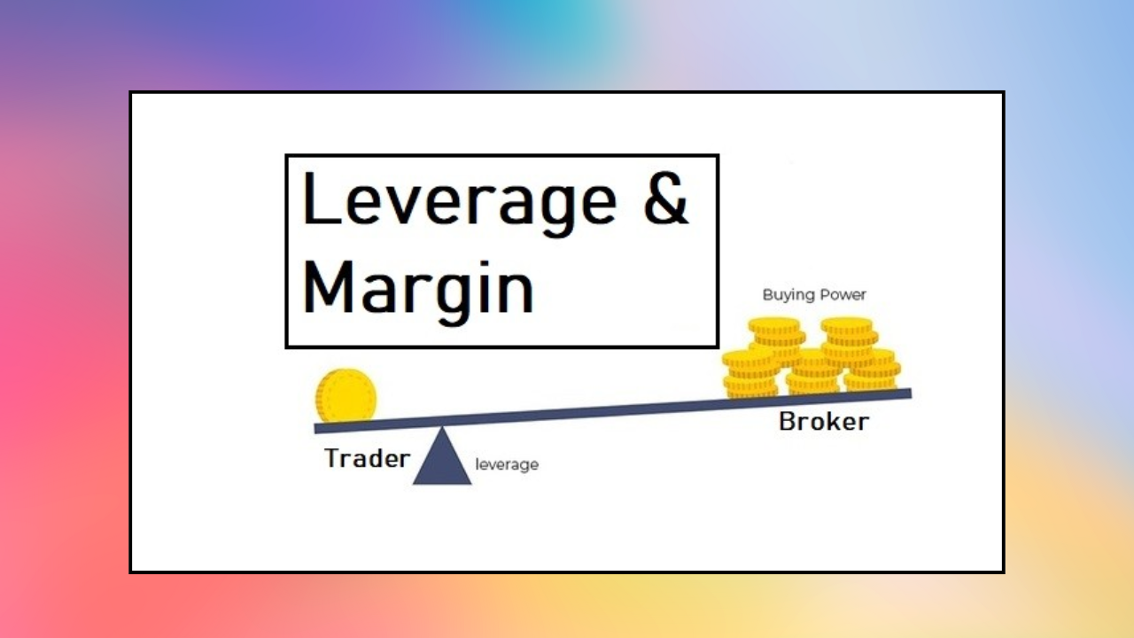 Bell Potter vs. Flexy Markets
