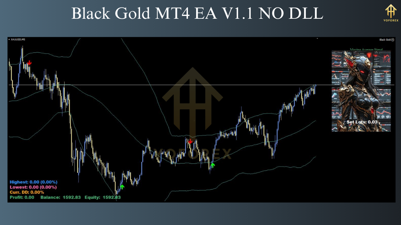 Black Gold MT4 EA V1.1
