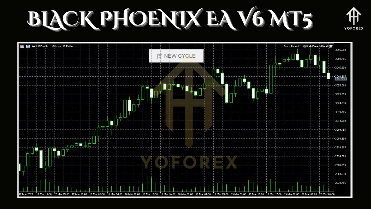 Black Phoenix EA V6