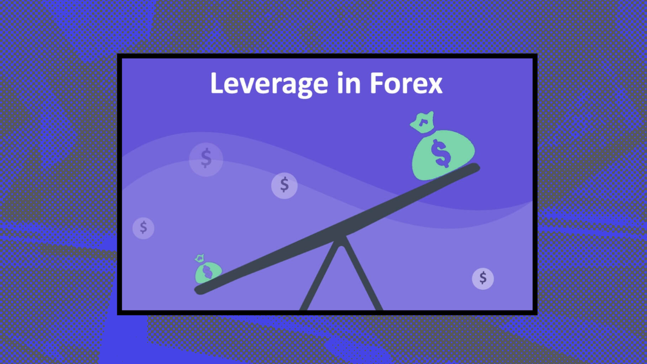 FOREX EXCHANGE vs. Flexy Markets