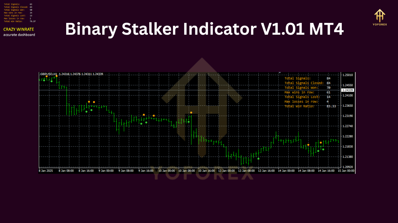 Binary Stalker Indicator V1.01 MT4