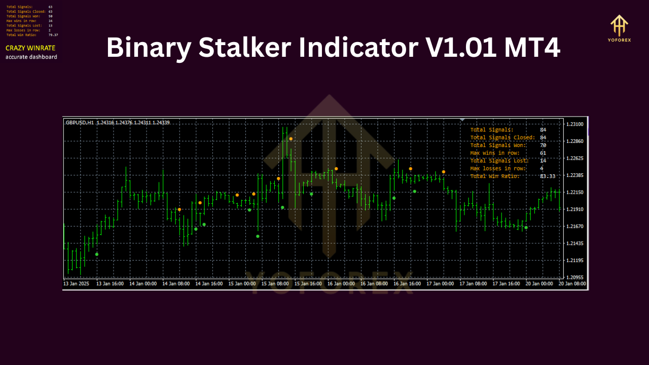 Binary Stalker Indicator V1.01 MT4