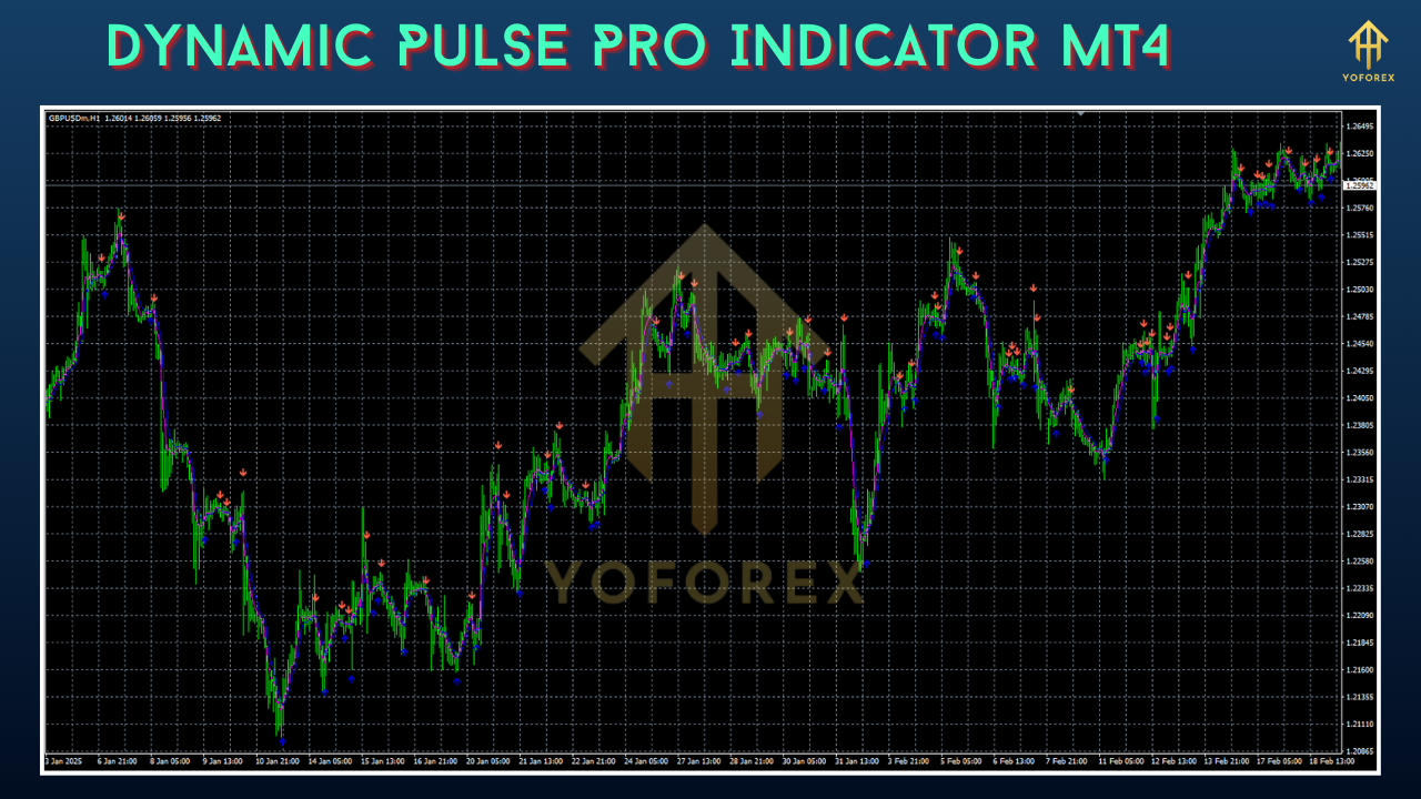Dynamic Pulse Pro Indicator