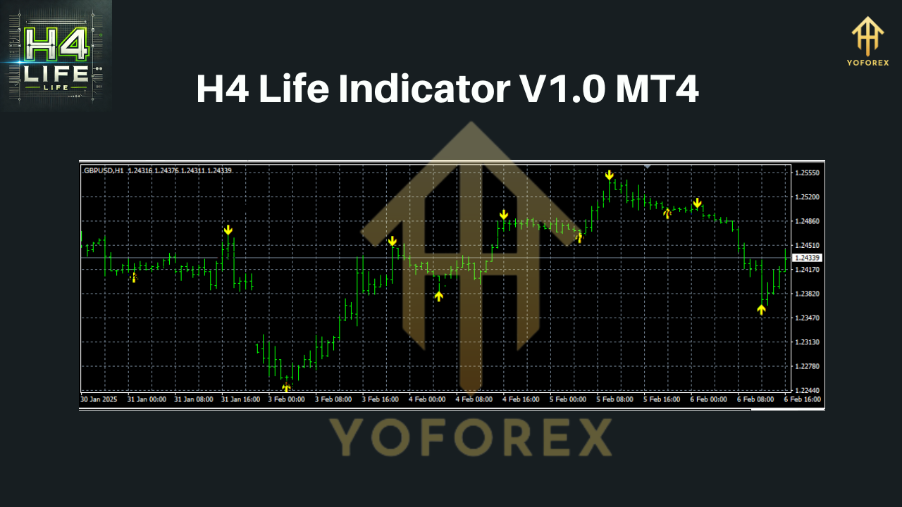 H4 Life Indicator MT4