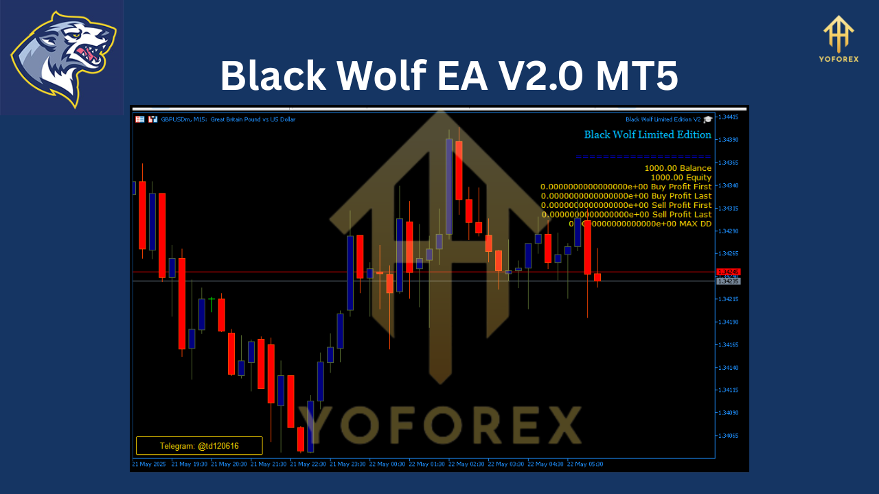 Black Wolf EA V2.0 MT5
