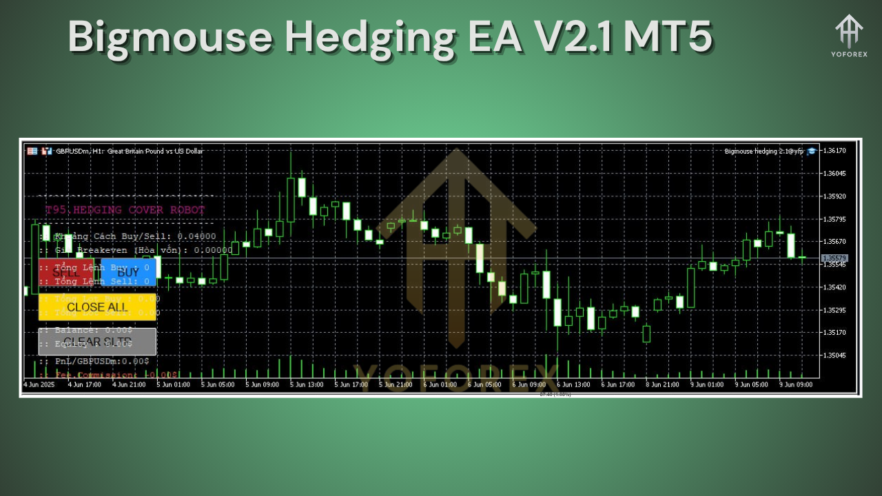Bigmouse Hedging EA V2.1 MT5