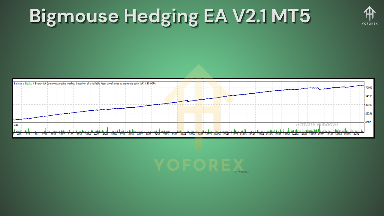 Bigmouse Hedging EA V2.1 MT5