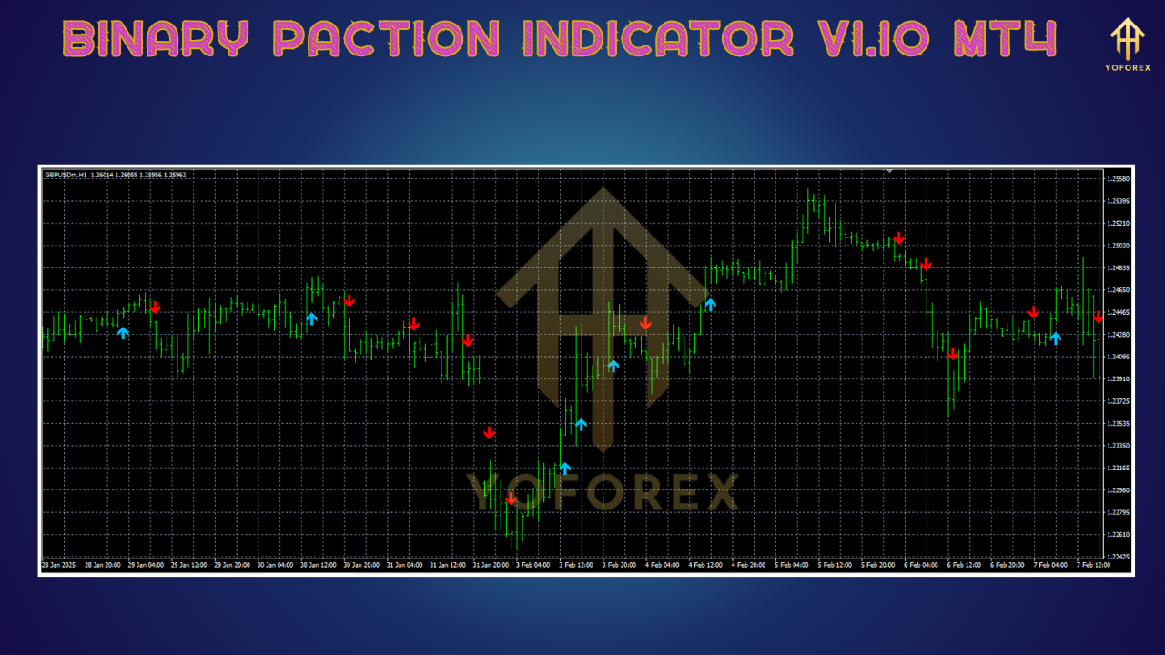 Binary Paction Indicator V1.10 MT4